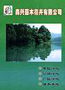 杜英、紫薇、枫香等苗木